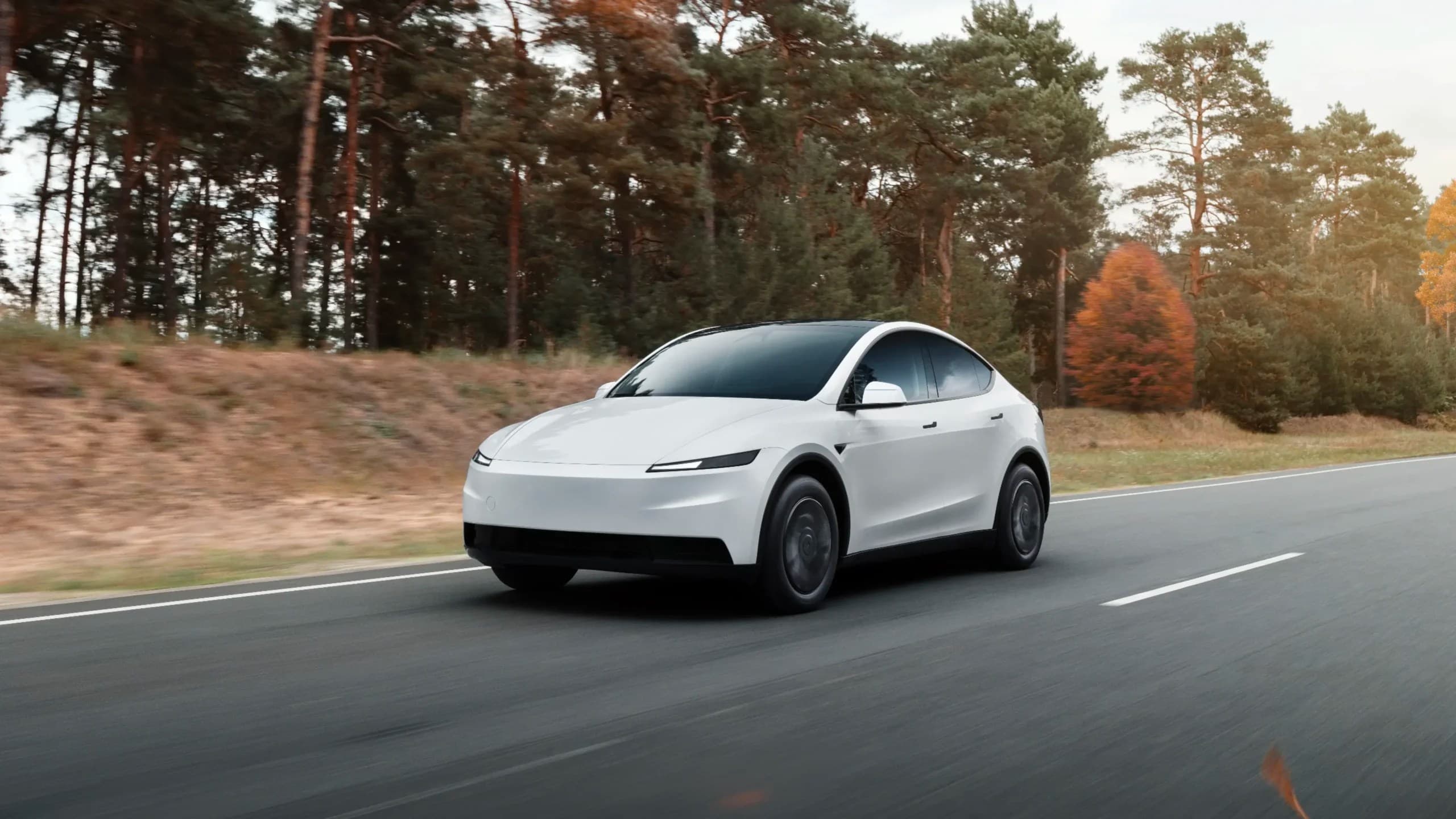 Tesla Model Y 2025 suv